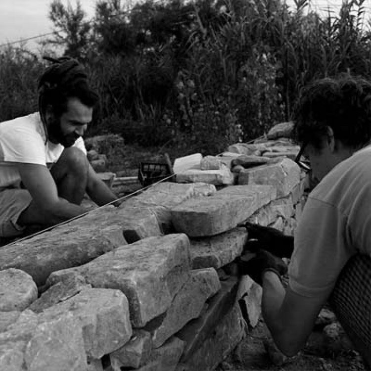 Planting cities – place