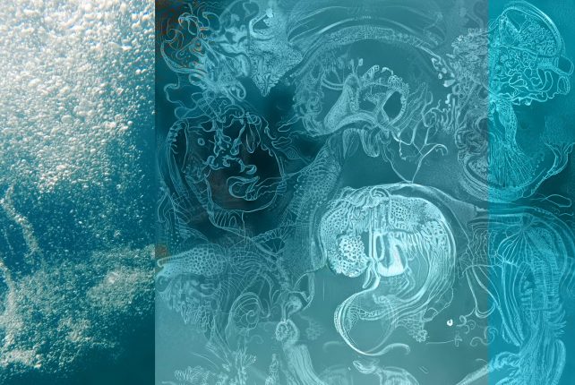 NAJAVLJAMO NOVO PRODUKCIJO: PODVODNI SPEVI_AQUAFORMATIONS