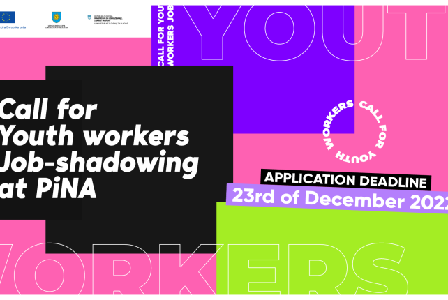 YOUTH WORKERS, APPLY FOR A JOB SHADOWING OPPORTUNITY AT PiNA!