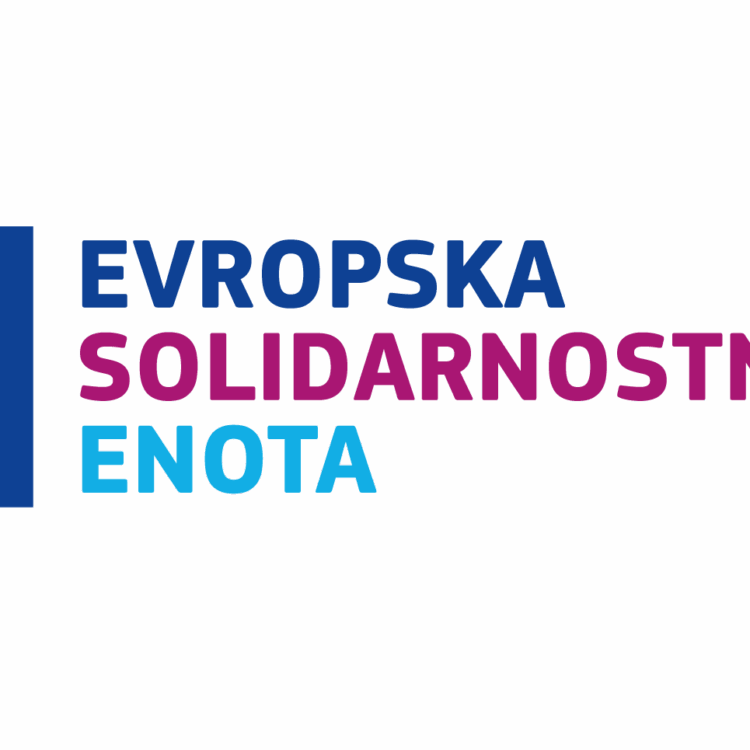 Evropska solidarnostna enota (European Solidarity Corps)